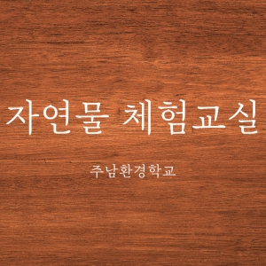 3월30일 지혜로운 그린체험교실(목공)
