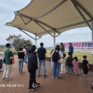 10/19 주남 코스모스 둑방길 걷기 챌린지 