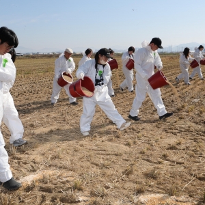 11/16 재두루미 먹이 행사 